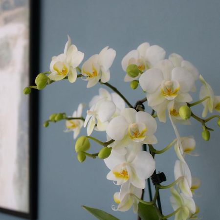 Aqualago Casa Vacanze Apartment D 韦尔巴尼亚 外观 照片